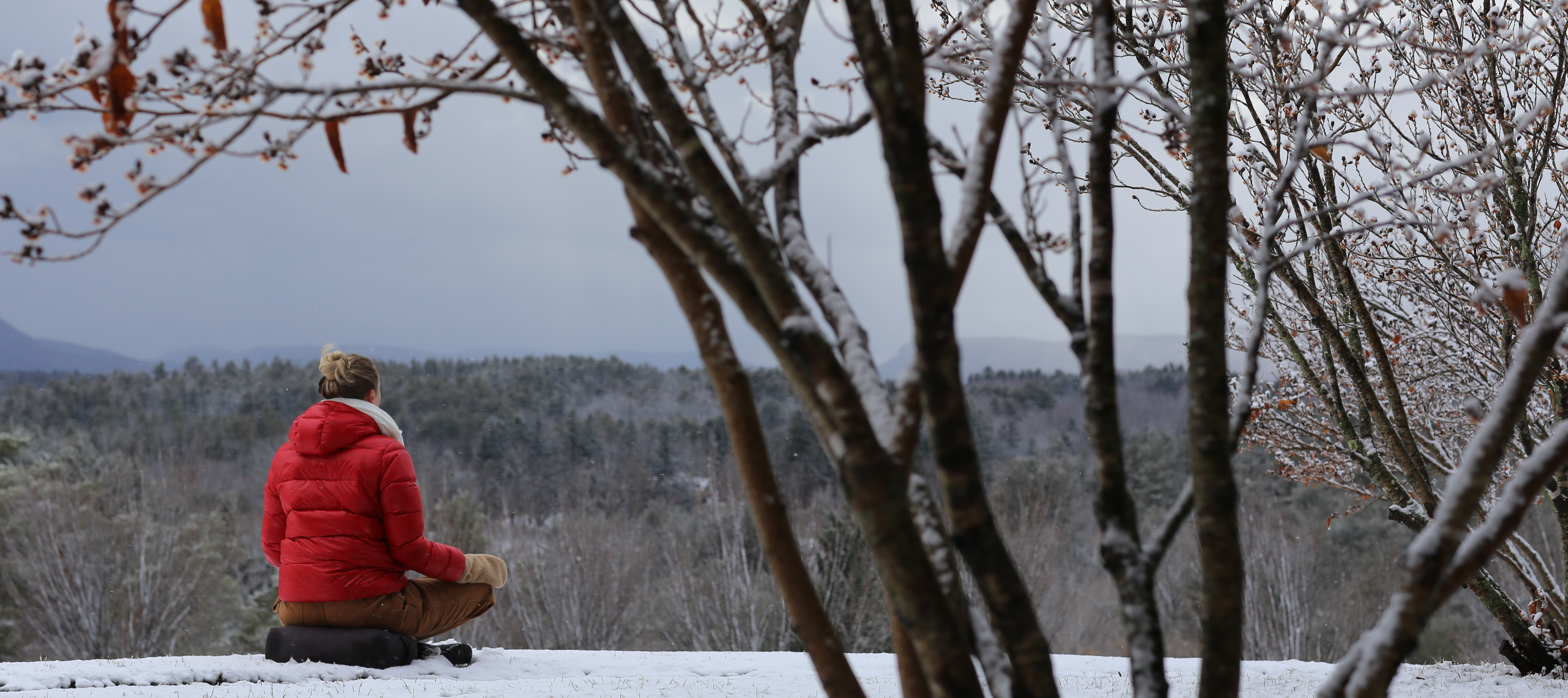 Loneliness: Understanding and Healing the Disconnection Woman in red jacket sitting on snowy ground looking out at the winter landscape.