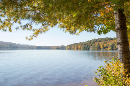 lake_reference_summer.png