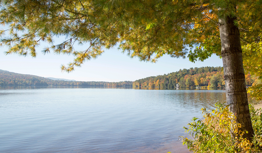 lake_reference_summer.png