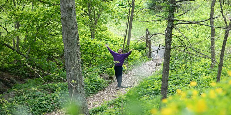 spring woods