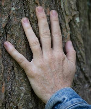 spring 2025 hands tree